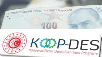 Ticaret Bakanlığı’nın Kooperatifçilik Proje Destek Yönetmeliği’nde yaptığı değişiklikler Resmi Gazete’de