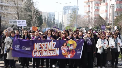 Nilüfer Belediyesi ve Nilüfer Kent Konseyi iş birliğiyle hazırlanan 8