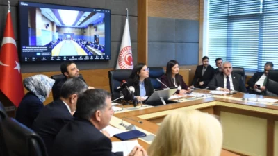 TBMM Araştırma Komisyonu’nda akademisyen ve uzmanlar, çocuk adalet sistemine ilişkin