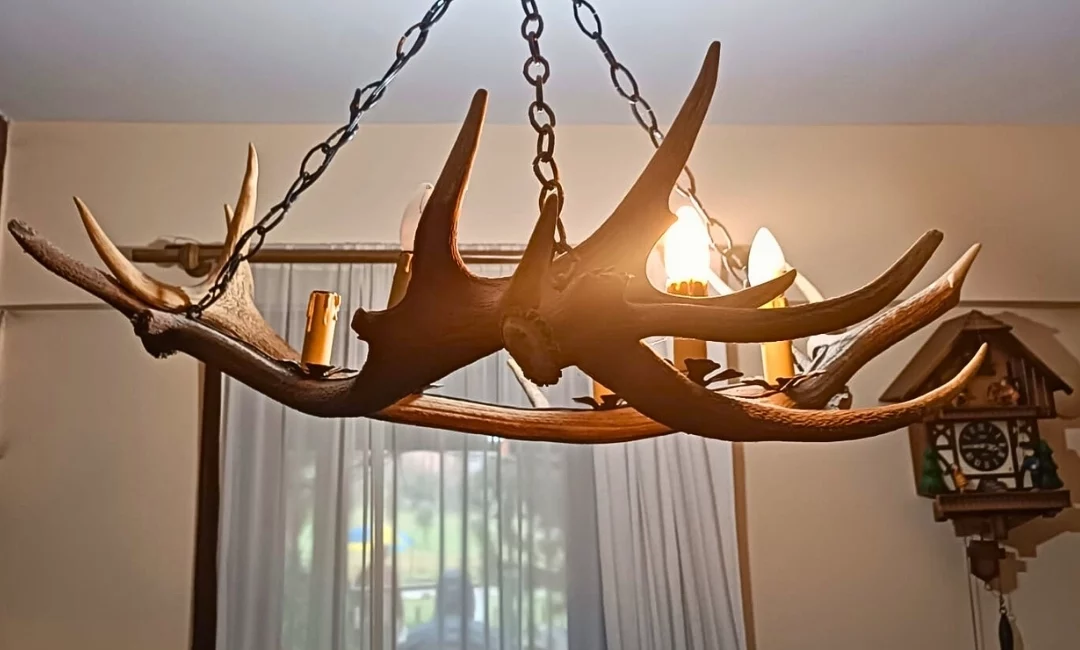 Doğa Koruma ve Milli Parklar Genel Müdürlüğü ekipleri, Tekirdağ Saray’da