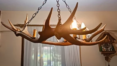 Doğa Koruma ve Milli Parklar Genel Müdürlüğü ekipleri, Tekirdağ Saray’da