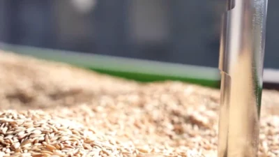 Toprak Mahsulleri Ofisi, 26 Ocak 2026’da başlattığı çeltik alımlarının devam