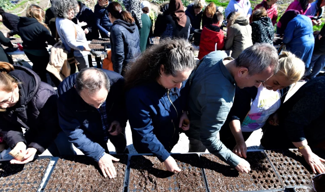 Bornova Belediyesi’nin Evka 4 Kent Bostanı’nda kadın üreticiler, yerel tohum