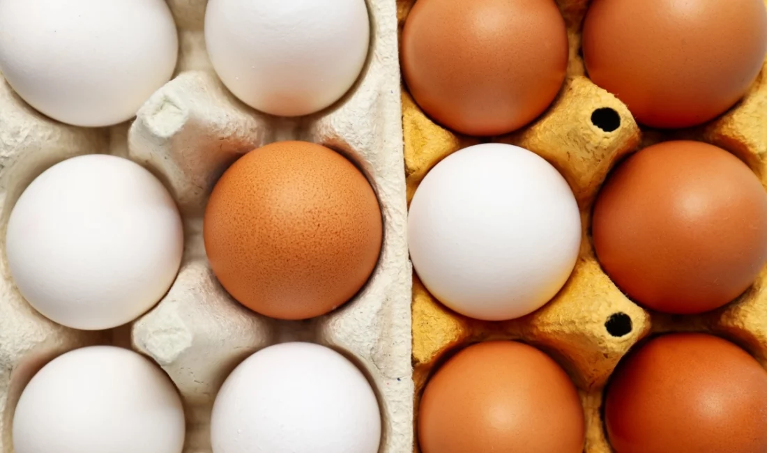 Tarım ve Orman Bakanlığı, küçük miktarlardaki yumurtanın doğrudan arzına ilişkin