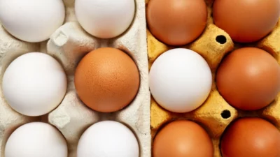 Tarım ve Orman Bakanlığı, küçük miktarlardaki yumurtanın doğrudan arzına ilişkin