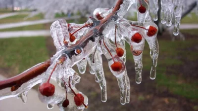 Bahar donları meyve ve sebze üreticileri için ciddi tehdit oluşturuyor.