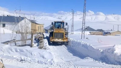 Van’da etkili olan kar yağışı, kent genelinde hayatı beyaza bürüdü.