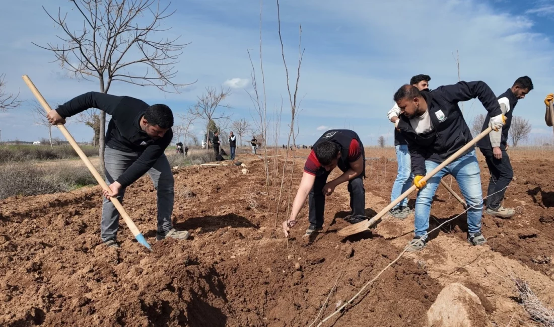 Şanlıurfa Büyükşehir Belediyesi, 2026 tarımsal üretim sezonu maliyetlerini azaltmak ve