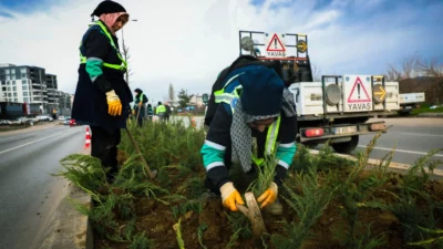 Bursa Büyükşehir Belediyesi, cadde ve bulvarlardaki refüjlerde yaptığı peyzaj düzenlemeleriyle