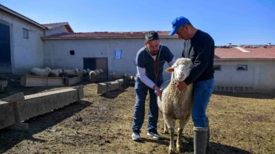 Ankara Büyükşehir Belediyesi, kırsal kalkınmayı desteklemek amacıyla Türkiye’de bir ilke