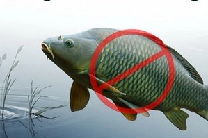 Adana İl Tarım ve Orman Müdürlüğü, 1 Mart – 31