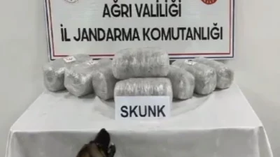 Ağrı Valiliği, İl Jandarma Komutanlığı ekiplerince düzenlenen operasyonda 10 kilogram