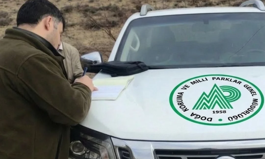 Antalya’nın Akseki ilçesinde bir yaban keçisi ve bir yaban tavşanı