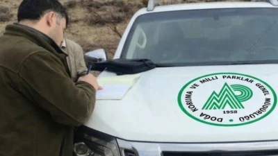 Antalya’nın Akseki ilçesinde bir yaban keçisi ve bir yaban tavşanı