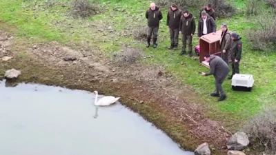 Ankara Elmadağ’da bir evin bahçesine düşen ve tedavi altına alınan