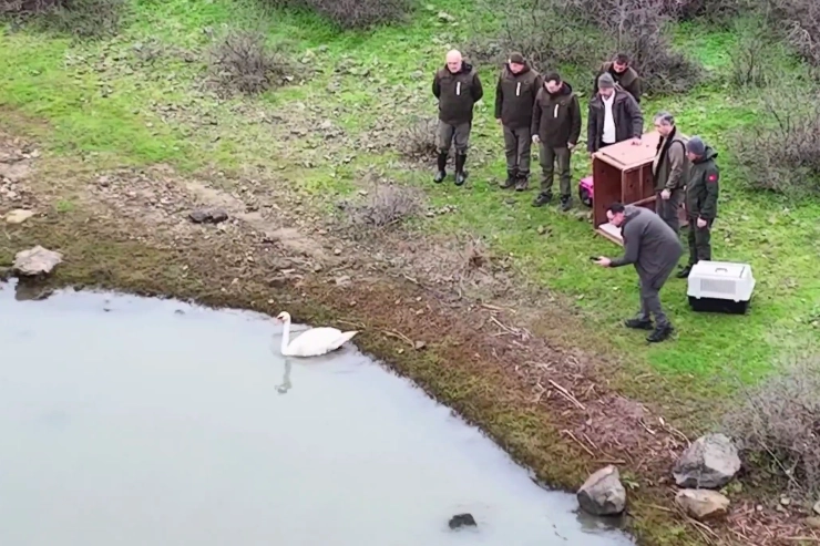 Ankara Elmadağ’da bir evin bahçesine düşen ve tedavi altına alınan