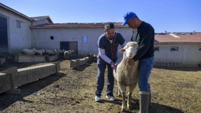 Ankara Büyükşehir Belediyesi, kırsal kalkınmayı desteklemek amacıyla Türkiye’de bir ilke