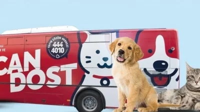 Balıkesir Büyükşehir Belediyesinin Can Dost Yerinde Hayvan Bakım ve Tedavi