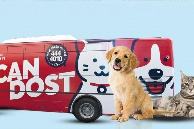 Balıkesir Büyükşehir Belediyesinin Can Dost Yerinde Hayvan Bakım ve Tedavi