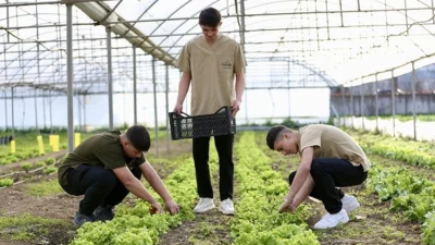 Bursa'da Hamidiye Tarım Mesleki ve Teknik Anadolu Lisesi öğrencileri, kendi
