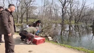 Doğa Koruma ve Milli Parklar 2. Bölge Müdürlüğü, 3 Mart