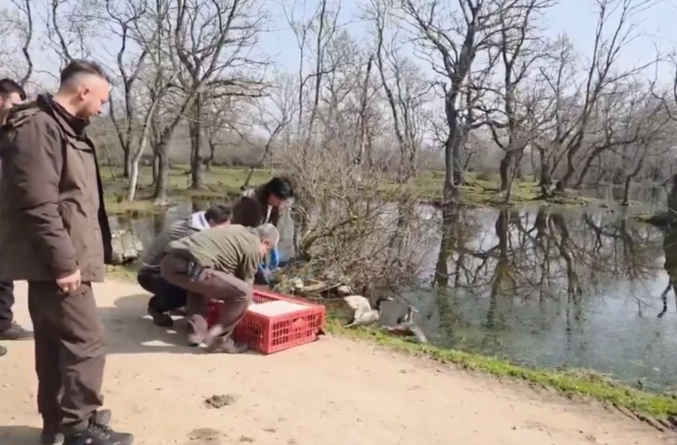 Doğa Koruma ve Milli Parklar 2. Bölge Müdürlüğü, 3 Mart