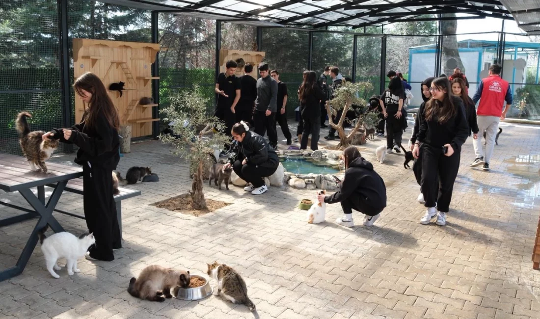 Bursa'da Yıldırım Belediyesi, Cumalıkızık Sahipsiz Hayvan Bakımevi ve Tedavi Merkezi