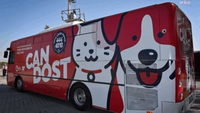 Balıkesir Büyükşehir Belediyesi'nin Can Dost Yerinde Hayvan Bakım ve Tedavi