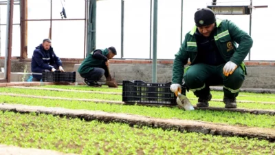 Diyarbakır Büyükşehir Belediyesi, su tasarrufu sağlayan ve kuraklığa dayanıklı bitkilerle