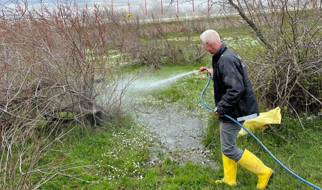 Enez Belediyesi, halk sağlığını korumak ve turizm sezonunu sorunsuz geçirmek
