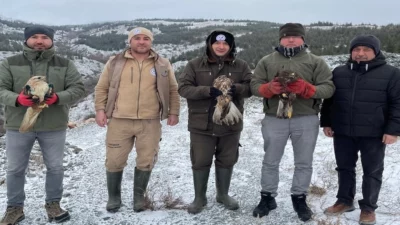 Eskişehir Büyükşehir Belediyesi Hayvanat Bahçesi, bir kez daha yaban hayatına