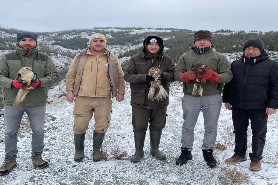 Eskişehir Büyükşehir Belediyesi Hayvanat Bahçesi, bir kez daha yaban hayatına