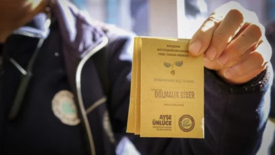 Toprağın hafızasını taşıyan yerel tohumlar, yalnızca Eskişehir’de değil, Türkiye’nin dört