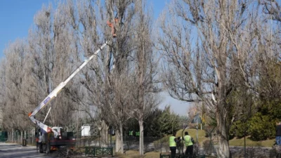 Eskişehir Büyükşehir Belediyesi, kent estetiğini ve doğal yaşam dengesini korumaya
