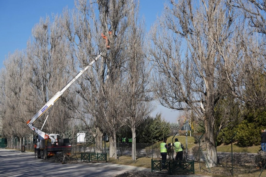 Eskişehir Büyükşehir Belediyesi, kent estetiğini ve doğal yaşam dengesini korumaya