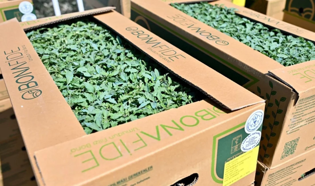 Manisa Büyükşehir Belediyesi, yerel kalkınma hamlesine bir yenisini daha ekledi.