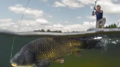 Balıkların üreme dönemlerini korumak ve su ürünleri kaynaklarının sürdürülebilirliğini sağlamak