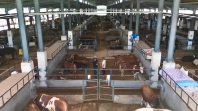 İnegöl Belediyesi Hayvan Pazarının Kurban Bayramı kotra ihale tarihi belli