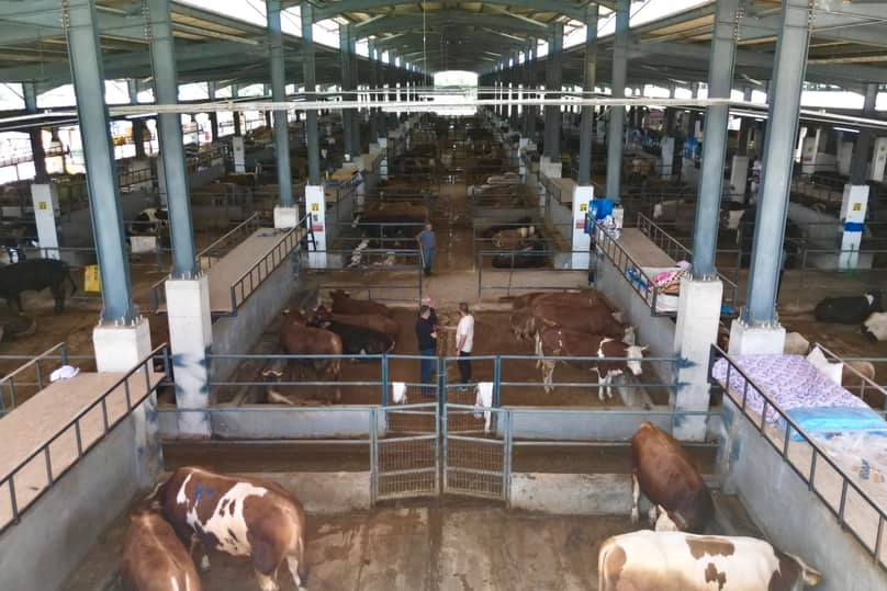 İnegöl Belediyesi Hayvan Pazarının Kurban Bayramı kotra ihale tarihi belli