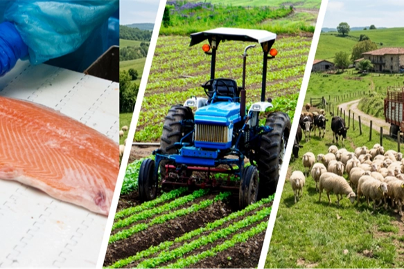 Tarım ve Orman Bakanlığı ile Avrupa Birliği tarafından finanse edilen