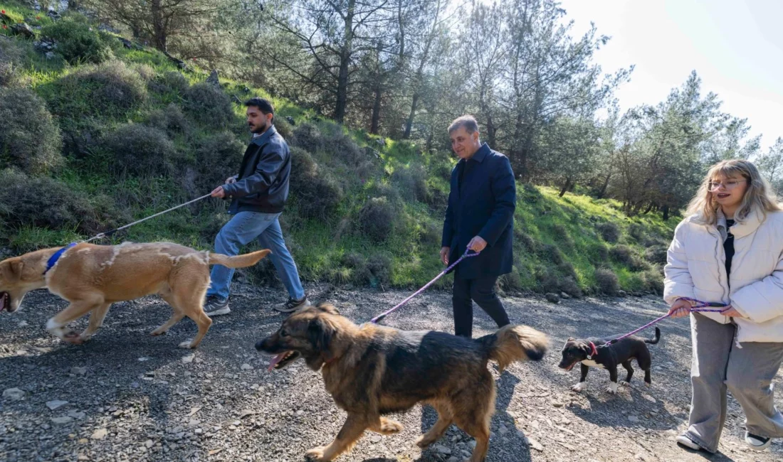 İzmir Büyükşehir Belediye Başkanı Dr. Cemil Tugay, Pako Sahipsiz Hayvan