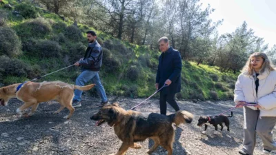 İzmir Büyükşehir Belediye Başkanı Dr. Cemil Tugay, Pako Sahipsiz Hayvan