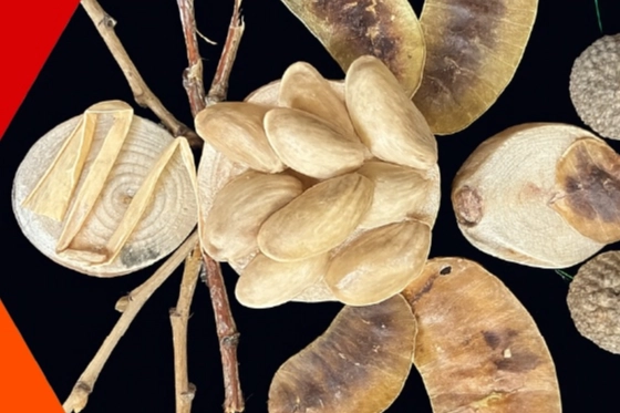 İzmit Belediyesi Oyuncak Müzesi’nde 28 Mart’ta Akbank Sanat iş birliğiyle