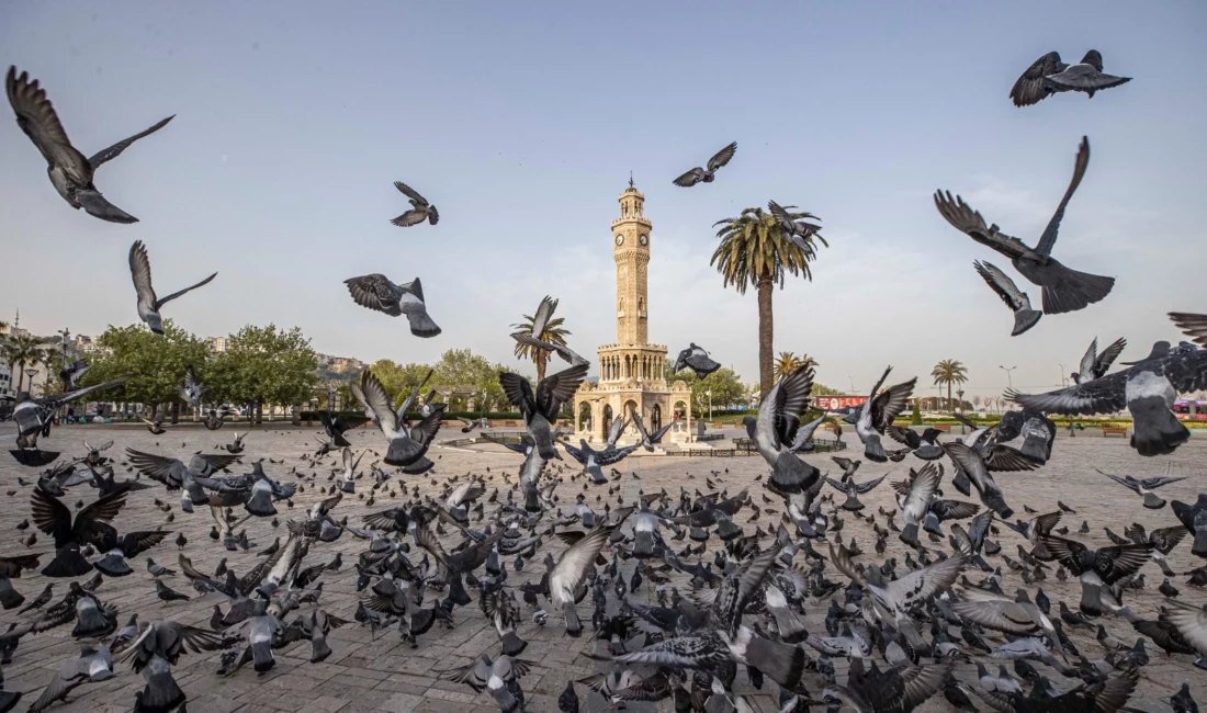 İzmir Büyükşehir Belediyesi bünyesindeki İZPA, veri odaklı ve katılımcı yaklaşımla