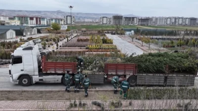 Kayseri Kocasinan Belediyesi, ağaç dikim mevsimi gelmesiyle birlikte fidan ve