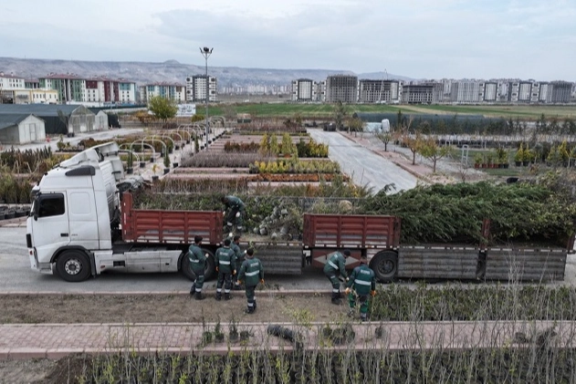 Kayseri Kocasinan Belediyesi, ağaç dikim mevsimi gelmesiyle birlikte fidan ve