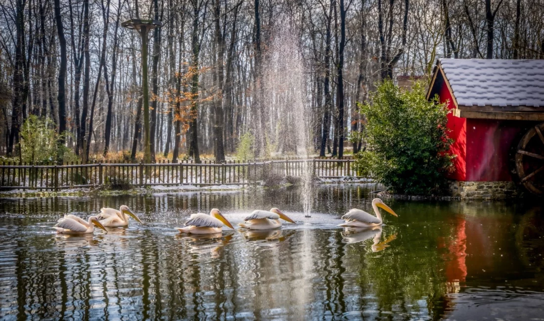 Kocaeli Büyükşehir Belediyesi, Ormanya ve Kuzuyayla’da Ramazan Bayramı hazırlıklarını tamamlandı.