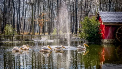 Kocaeli Büyükşehir Belediyesi, Ormanya ve Kuzuyayla’da Ramazan Bayramı hazırlıklarını tamamlandı.