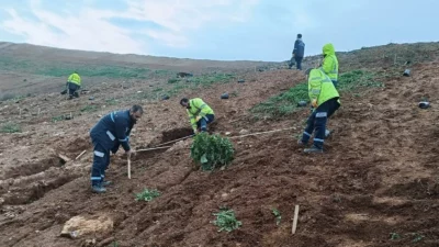 Çevre konusunda duyarlı çalışmalara imza atan Kocaeli Büyükşehir Belediyesi, kentin