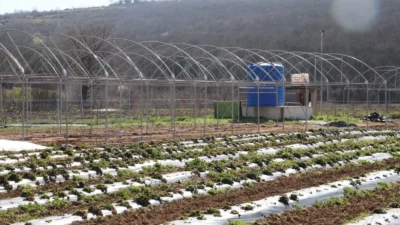 Kocaeli İzmit Belediyesi, aşevinde kullanılan sebze maliyetlerini azaltmak ve güvenilir